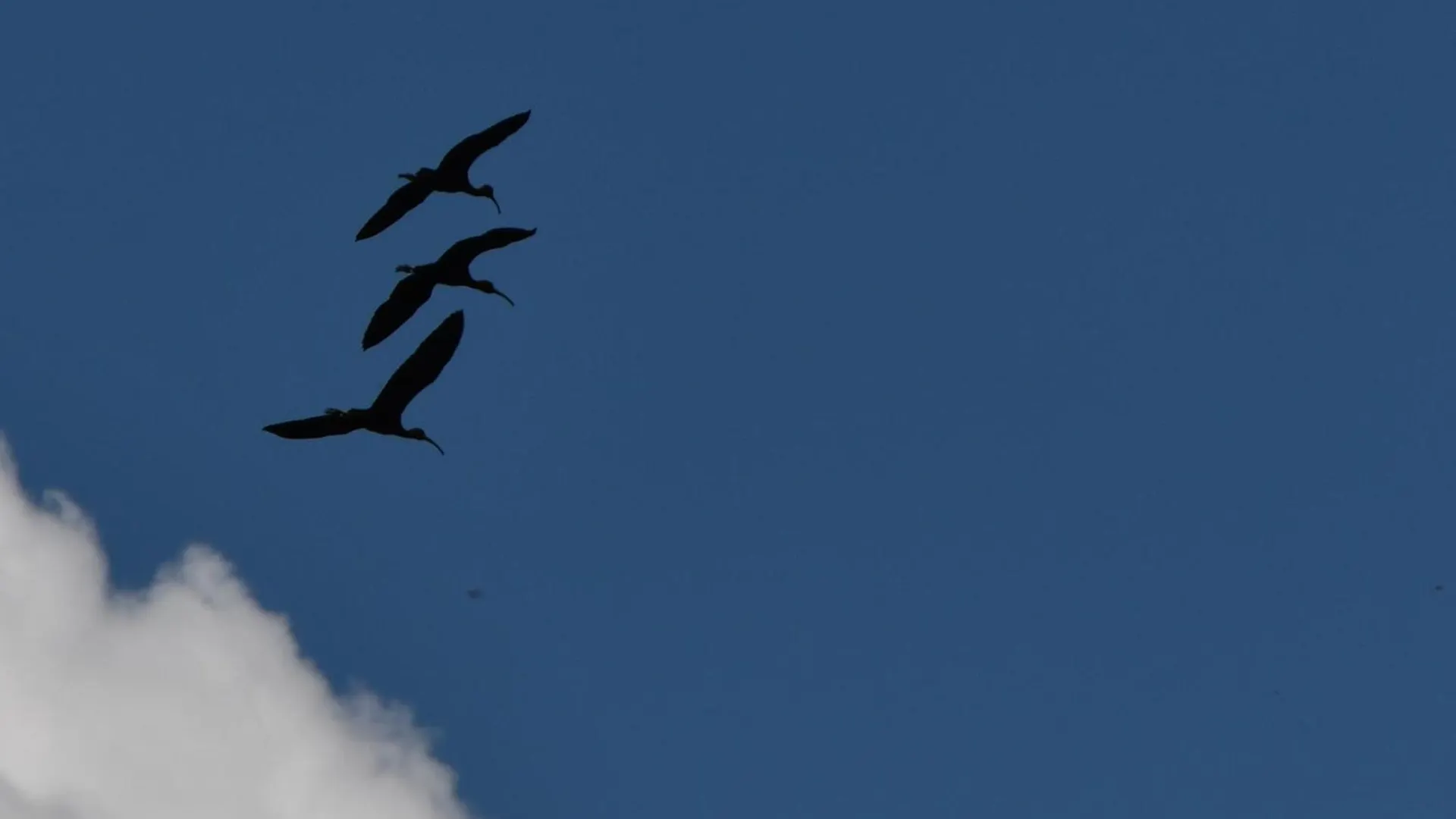L'Oiseau Blanc Bed & Breakfast Saint-Nizier-le-Desert