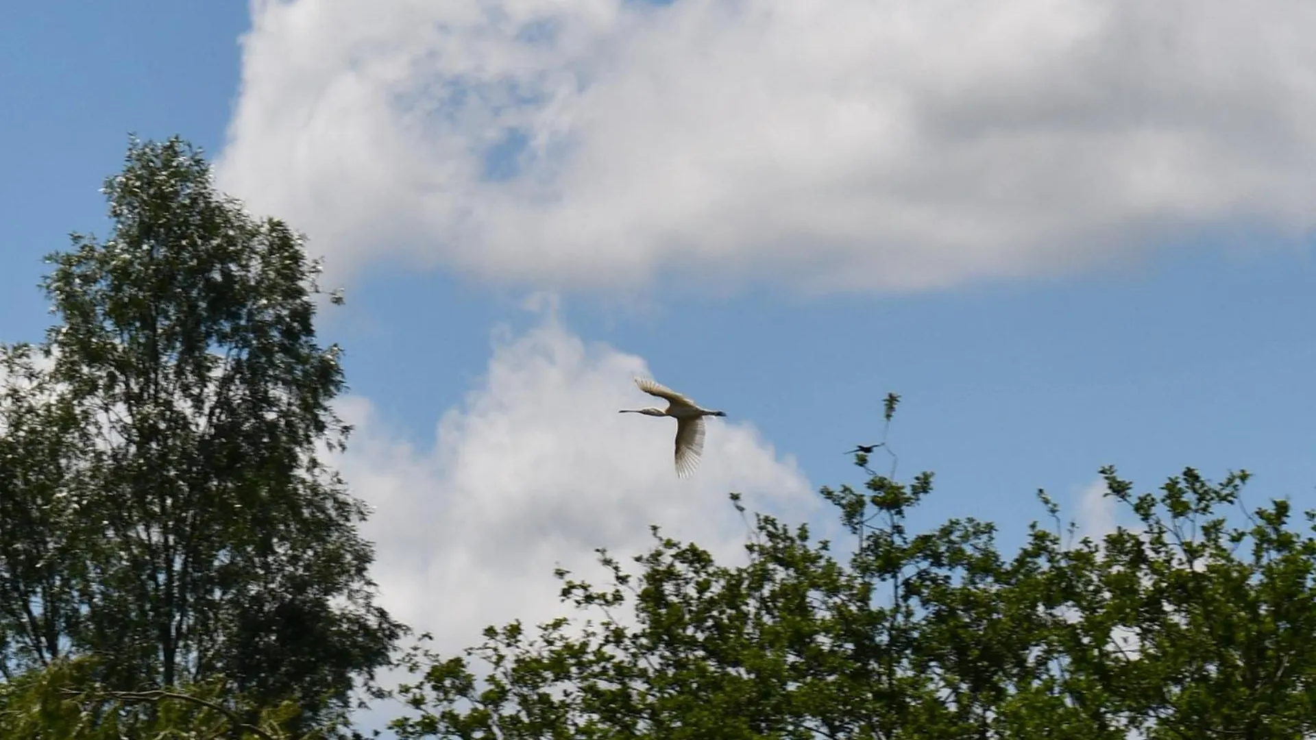 L'Oiseau Blanc Bed & Breakfast Saint-Nizier-le-Desert