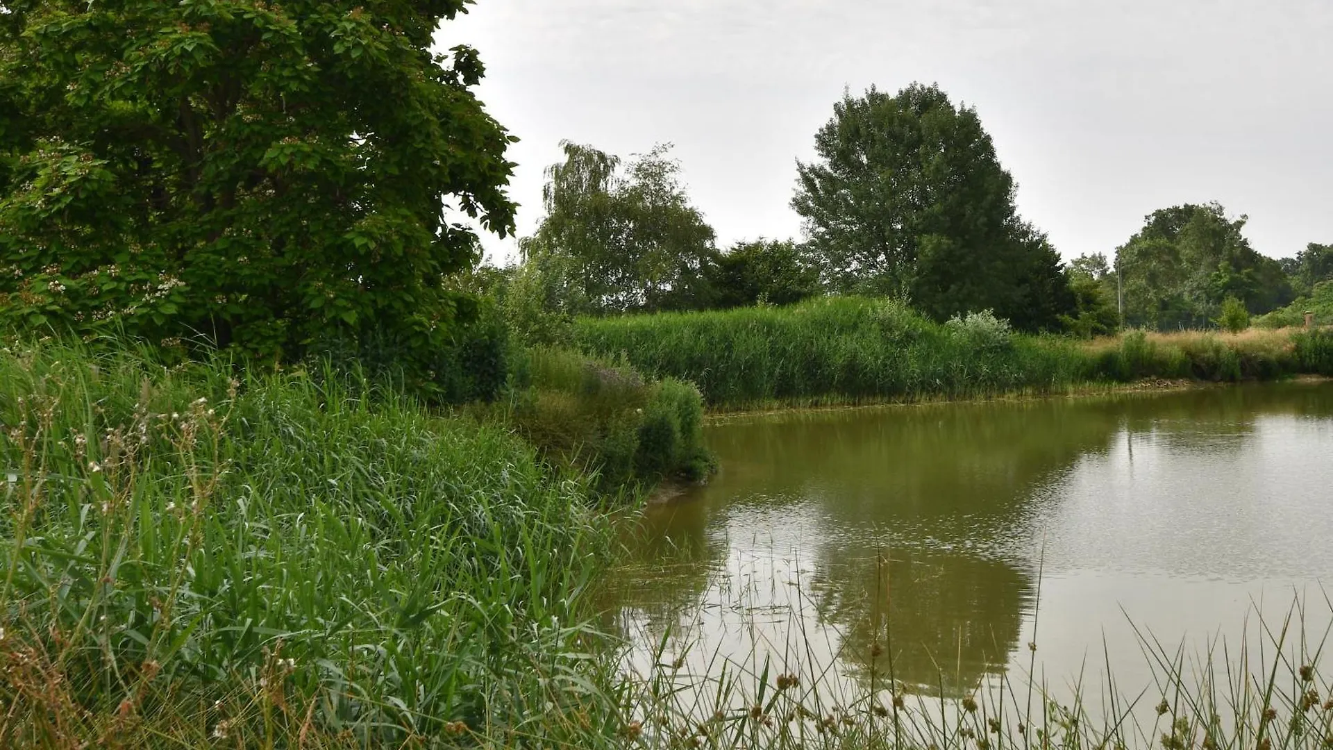 L'Oiseau Blanc Bed & Breakfast Saint-Nizier-le-Desert