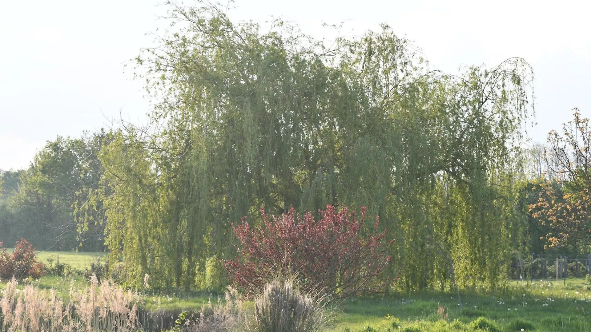 L'Oiseau Blanc Bed & Breakfast Saint-Nizier-le-Desert